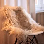 Bed & Breakfast Accademia00