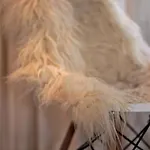 Accademia00 Bed & Breakfast Maastricht