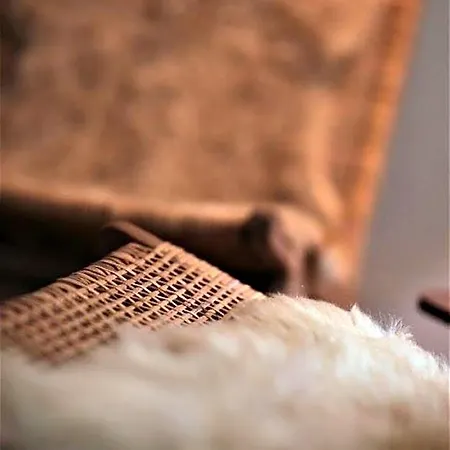 Bed and breakfast Accademia00