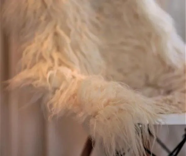 Accademia00 Panzió Maastricht